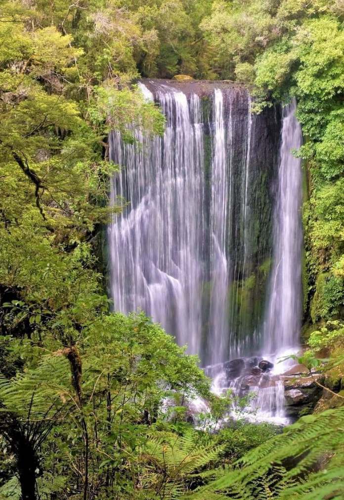 Exploring the Untouched Beauty of Korokoro Falls in Te Urewera National Park